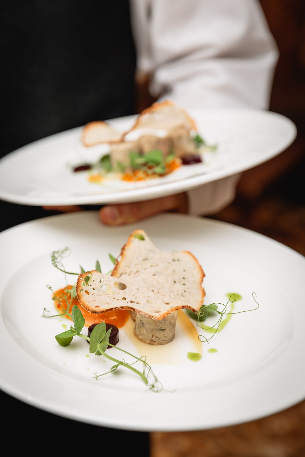 A waiter presenting plated starters garnished with salad leaves