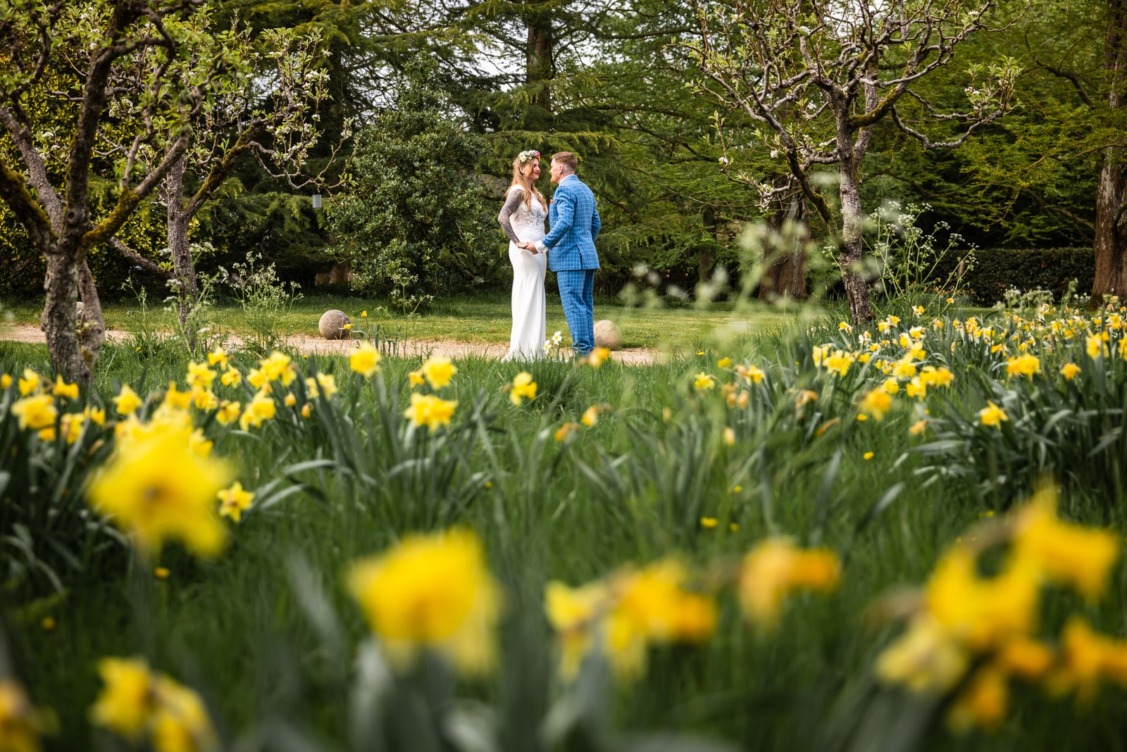 Bride and groom in the orchard with wild daffodils in the foreground