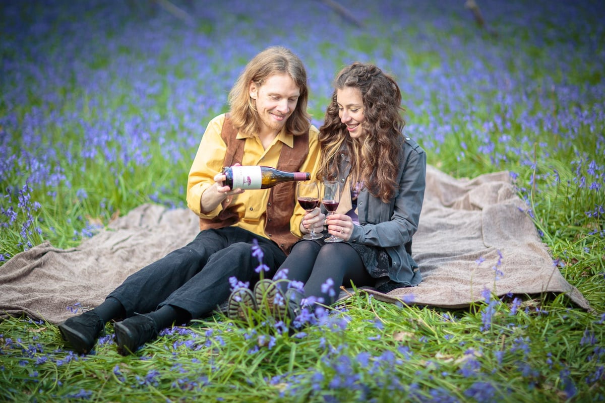 Bluebell Woods