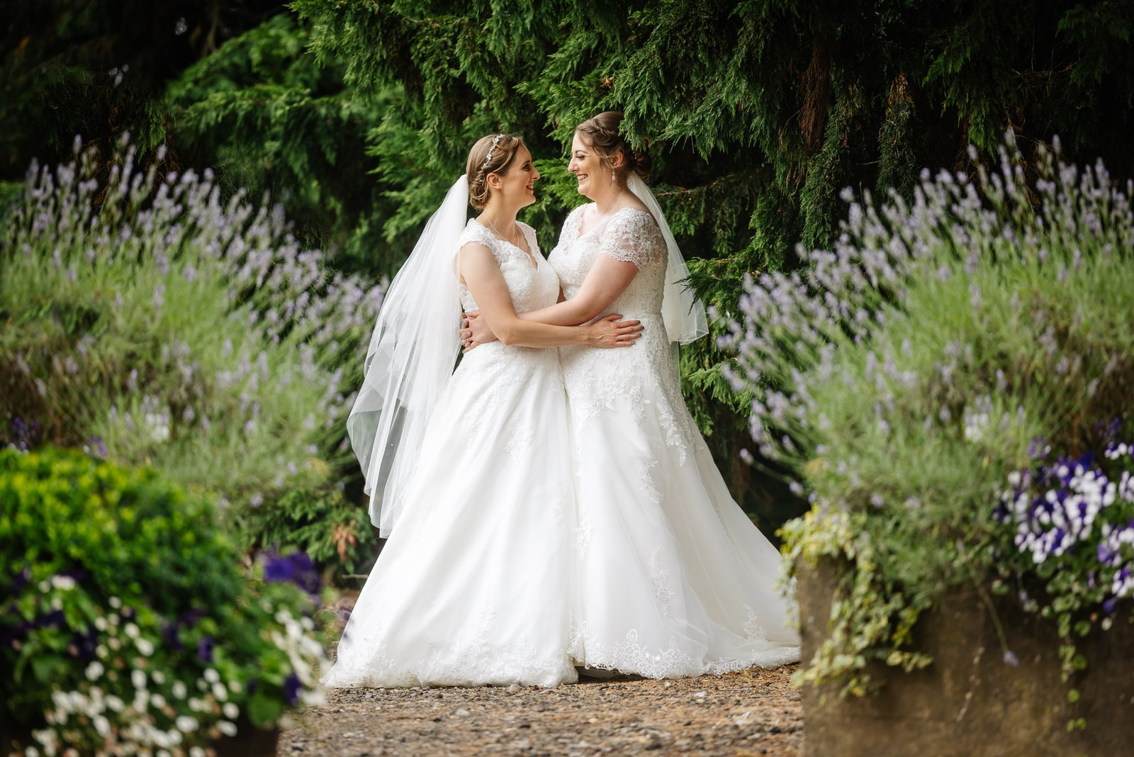 The newlyweds embrace beside a bank of lavender on a gravel path