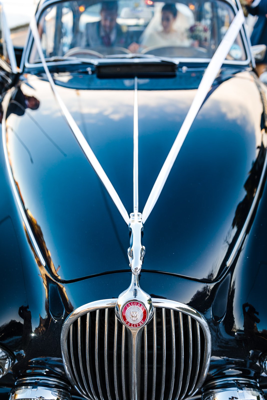 Ribboned bonnet and grille of the vintage Jaguar wedding car up close