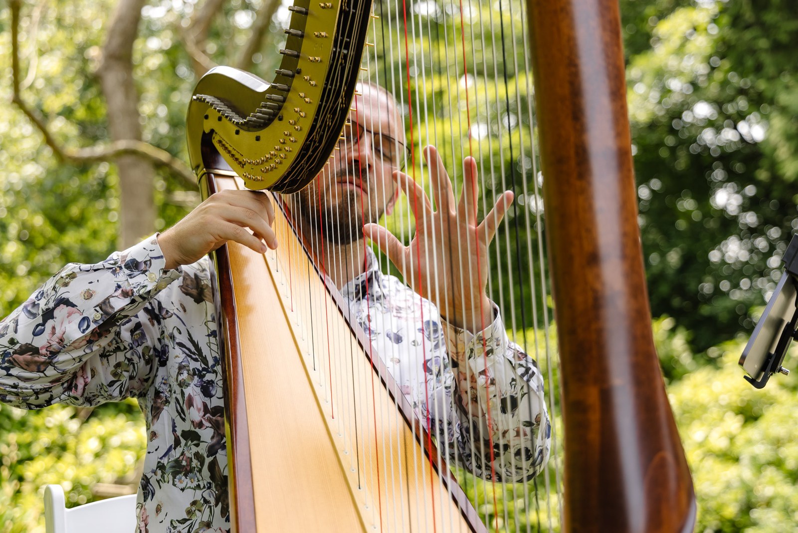 A harpist playing beneath the trees in the grounds
