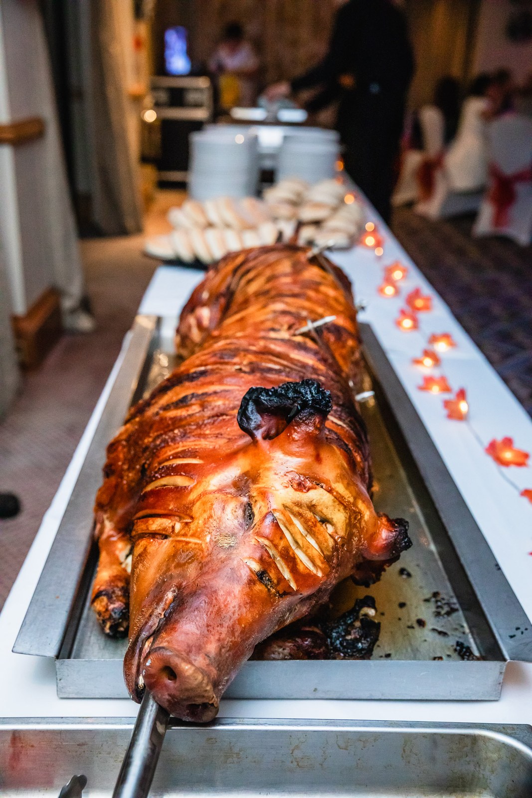 A whole hog roast presented at the evening buffet