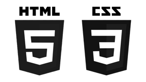 direction logo