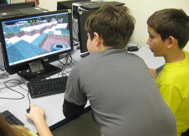 Minecraft Kids Playing 