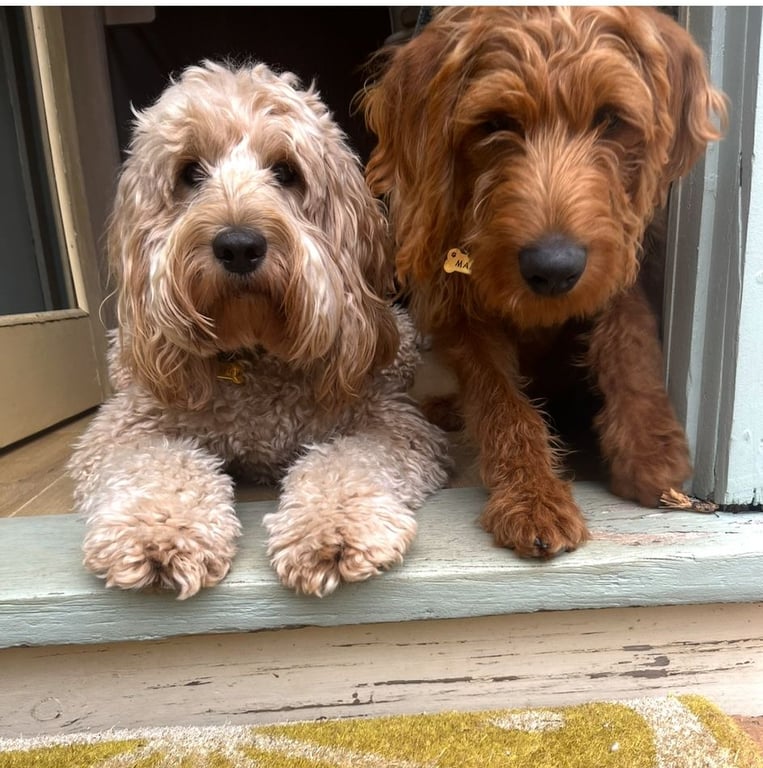 Mum and Dad