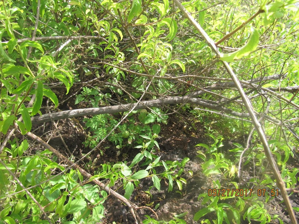 Kamyuye
