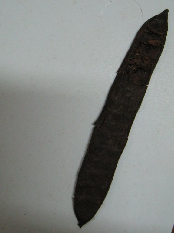 Stryphnodendron pulcherrimum