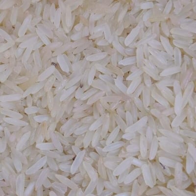 Oryza glaberrima — fruit
