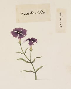 Qu Mai