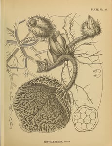 Qian Shi