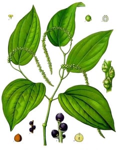 Hu Jiao