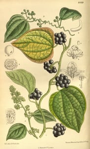 Mu Fang Ji
