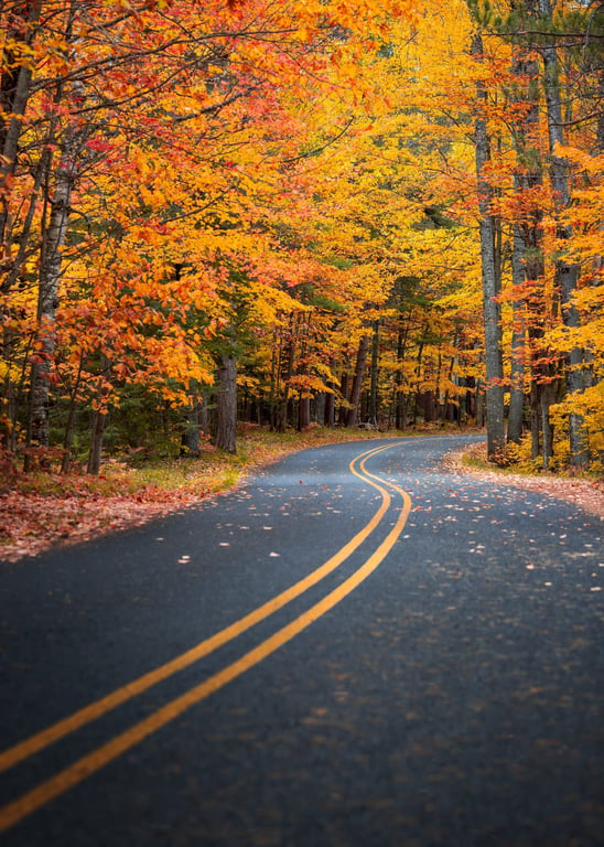Stay Healthy This Autumn: 6 Tips To Keep You Active And Fit
