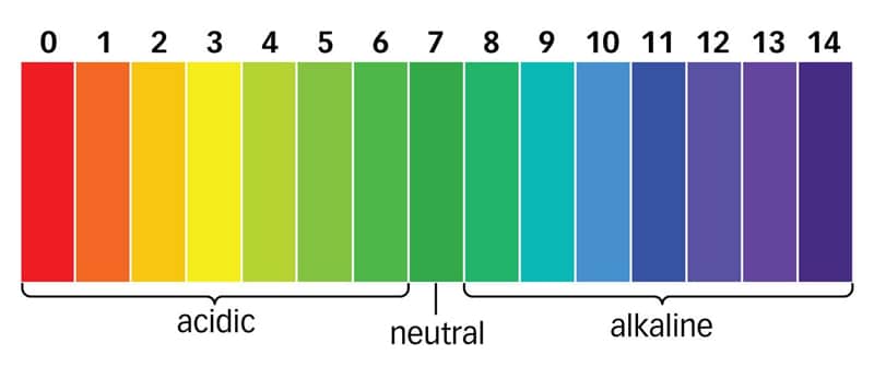 pH and Your Health