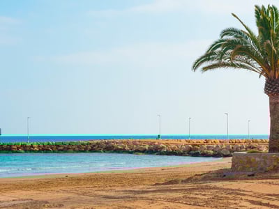Plage paisible de Torresnostra, avec eau turquoise, sable doré et palmiers, parfaite pour une journée de détente.