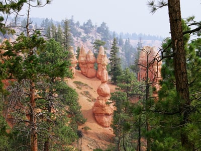Glowing cliffs of Bryce Canyon National Park, framed by majestic pines, illustrating the natural beauty of the park.