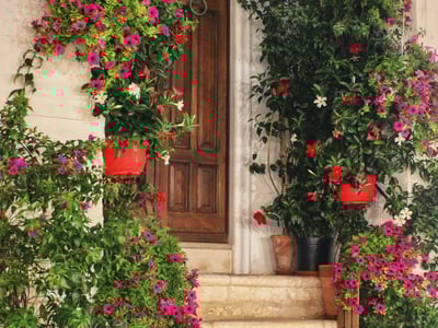Porte en bois entourée de fleurs colorées à Cisternino, capturant le charme d'un village italien pittoresque.
