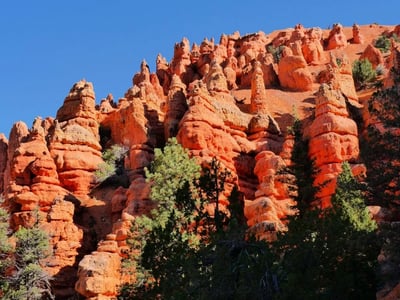 Bright red rock formation at Red Canyon, surrounded by greenery under a clear blue sky. Ideal for hiking.