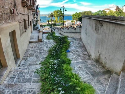 A green alley in Pendio La Riccia, leading to the sea, with white flowers and a clear blue sky.