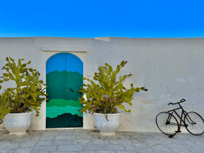 Blue door of the house with pots of green plants, creating a welcoming atmosphere under a sunny sky.