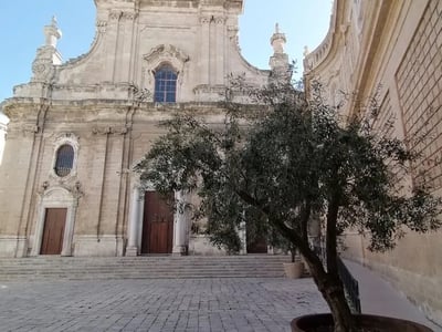 Façade de la Cathédrale Maria Santissima della Madia avec un olivier sur la place, mettant en valeur l'architecture baroque.