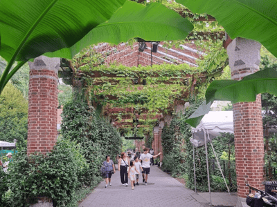 Lush walkway at the New York Zoo, where visitors stroll beneath banana plants and brick trellises.