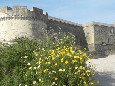 Fleurs sauvages jaunes devant une ancienne forteresse à Acaya, soulignant le charme historique de la région.