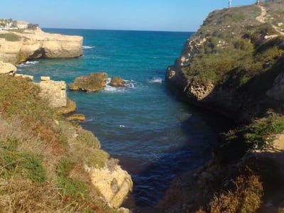 Rocky coast of Roca Vecchia, with turquoise waves and lush cliffs under a sunny sky.
