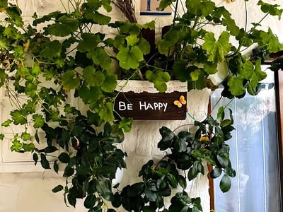 Plantes luxuriantes décorent un mur à Cisternino, avec un panneau "Be Happy" apportant une touche de convivialité.