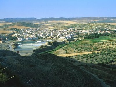 Panoramic view of La Malahá, surrounded by green fields and hills, illustrating the Andalusian rural landscape.