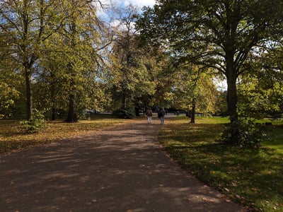 A peaceful walk in Kensington Gardens, surrounded by leafy trees and autumn colors, perfect for a stroll.