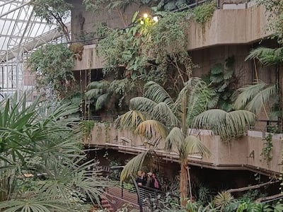 Barbican Conservatory with lush tropical plants and visitors exploring the verdant and unique space.