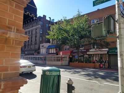 View of Lexington Avenue with local shops and a tree, illustrating the vibrancy of New York's urban neighborhood.