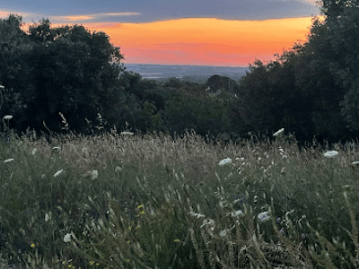 Coucher de soleil vibrant sur Gravina e Cave di Fantiano, entouré de champs fleuris et d'arbres verdoyants.