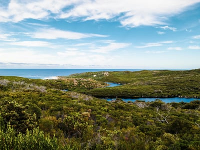 Panoramic view of the lush shores and sparkling waters of Margaret River, ideal for nature lovers.