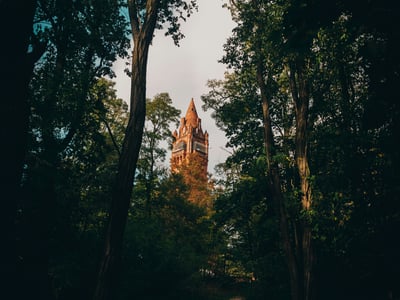 Une tour en briques rouges émerge à travers les arbres verdoyants de la forêt du Grunewald, créant une atmosphère magique.