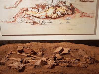 Human skeleton discovered at the New Archaeological Museum, accompanied by an artistic illustration of the scene.