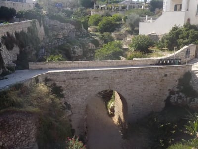 The Borbonico Bridge, an ancient stone bridge surrounded by greenery and Mediterranean landscapes, bears witness to the local architectural heritage.