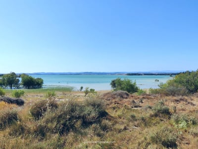 Serene view of the lake near Alcalá de Gurrea, surrounded by vegetation and hills, perfect for outdoor activities.