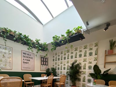 Bright interior of Fair Shot Cafe, with hanging plants and inspiring décor on the walls.