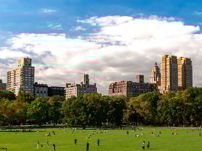 Beaux immeubles surplombant l'herbe verdoyante de Central Park, où des visiteurs profitent du soleil et de l'espace ouvert.