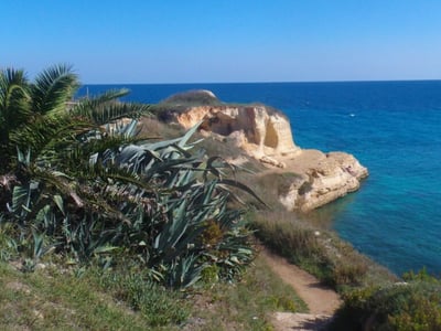 Picturesque coast of Torre Sant'Andrea with lush vegetation and turquoise water, ideal for coastal excursions.