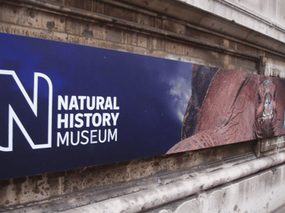 Sign of the Museum of Natural History, showcasing the astonishing diversity of natural exhibitions in Paris.