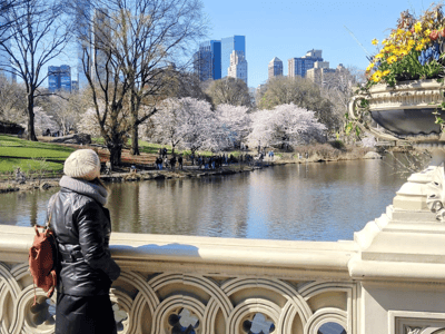 View from Bow Bridge in Central Park with cherry blossoms and the skyscrapers of New York in the background.