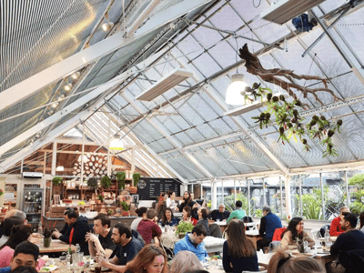 Lively atmosphere of Clifton Nurseries café, with customers enjoying a meal under a glass structure.