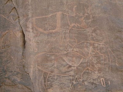 Des scènes rupestres représentant des ancêtres bovins, découvertes près du Château de Bovino, témoignent de l'art préhistorique.