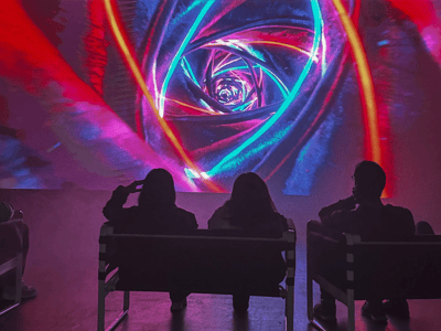 Visitors contemplating an immersive light installation at P61 Gallery, capturing the essence of contemporary art.