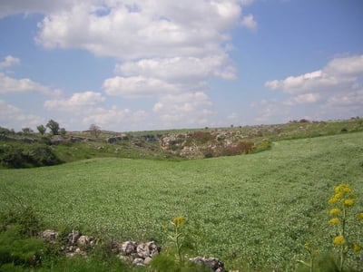Wide green field in Pulo di Altamura, dotted with white clouds and surrounded by typical rock formations.