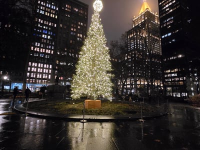 Illuminated Christmas tree in Madison Square Park, surrounded by skyscrapers, creating a festive nighttime atmosphere.